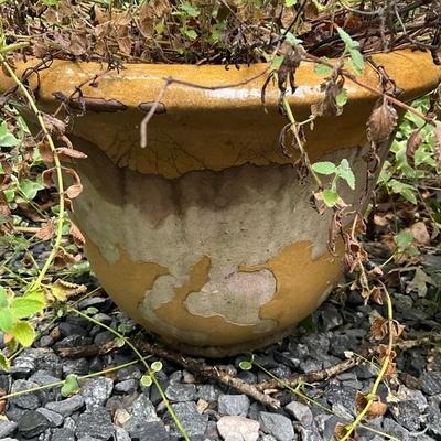O984 Pair Of Tan Terracotta Pots
