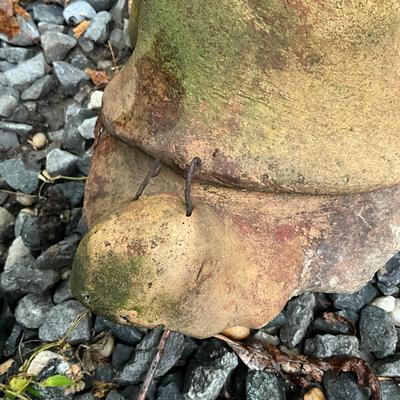 O988 Pair Of Terracotta Snails