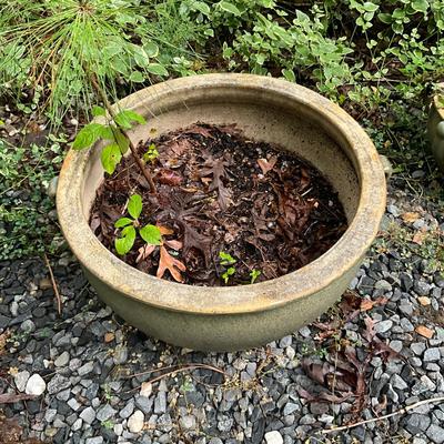 O990 Large Green Handled Glazed Terracotta Pot