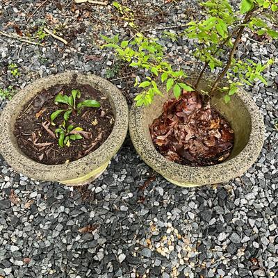 O992 Pair Of Cement Pots