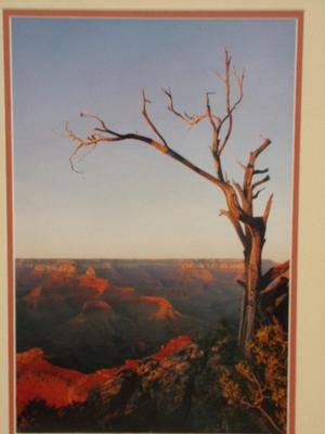 Wall decor, Art probably Utah, not signed. About 23"x19" w/frame.