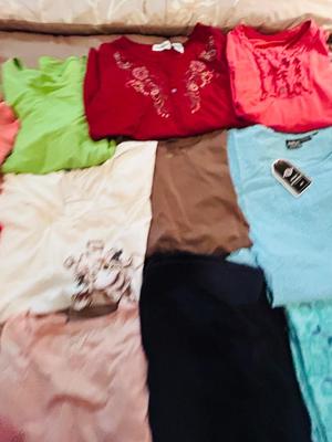 NORTH FACE HOODED SWEATSHIRT ALONG WITH NEW AND LIGHTLY WORN WOMENS CLOTHING