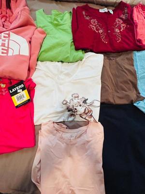 NORTH FACE HOODED SWEATSHIRT ALONG WITH NEW AND LIGHTLY WORN WOMENS CLOTHING