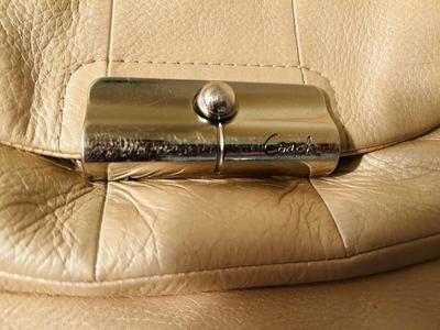 COACH PURSE AND PURSE ORGANIZER