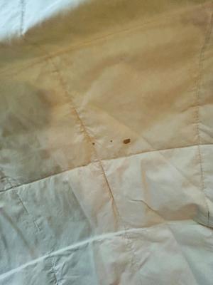 FULL SIZED BEDDING AND KING DOWN BLANKET