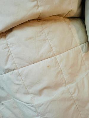 FULL SIZED BEDDING AND KING DOWN BLANKET