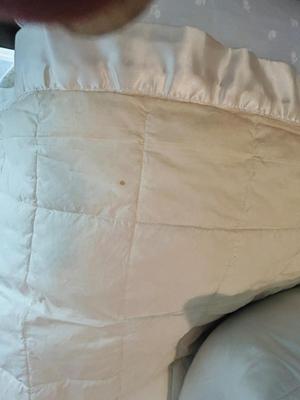 FULL SIZED BEDDING AND KING DOWN BLANKET
