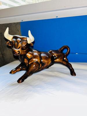 BULL FIGHTER AND BULL