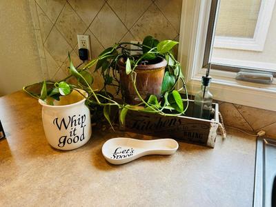 LIVE PLANT, SPOON REST, CANISTER AND WOODEN BOX