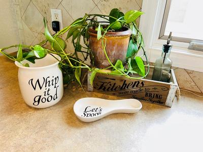 LIVE PLANT, SPOON REST, CANISTER AND WOODEN BOX