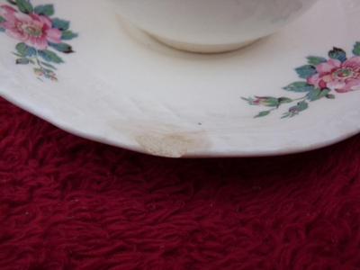 VTG/antique Homer Laughlin china coffee set Goes nicely w/lot #420