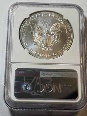 NGC CERTIFIED 2017 MS69 SILVER EAGLE DOLLAR 1-OUNCE .999 COIN AS PICTURED.