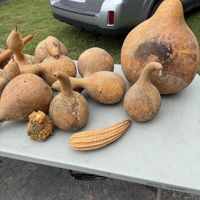 Gourd Lord! (G-BM)