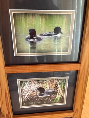 Sale Photo Thumbnail #187: See pics