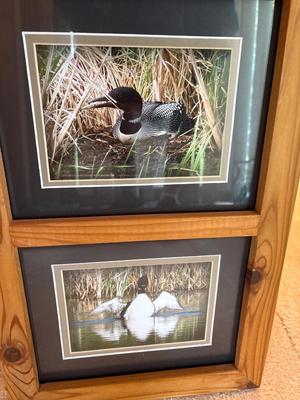 Sale Photo Thumbnail #188: See pics