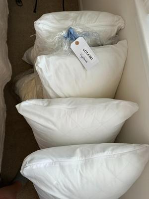 Lot of 5 King Size Pillows (B2)