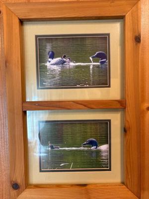Sale Photo Thumbnail #363: See pics