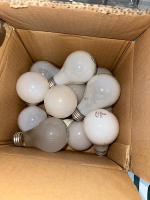 G23- lightbulbs