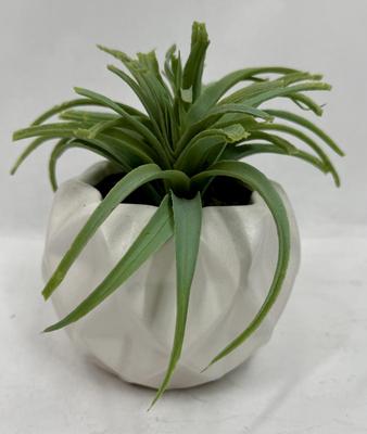 Artificial Plant in White Geometric Planter Pot 5” high