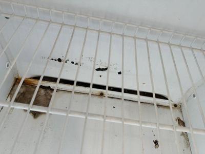 Frigidaire Commercial Upright Freezer