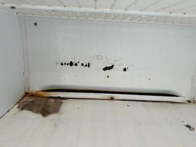 Frigidaire Commercial Upright Freezer