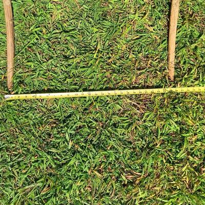 LOT 501: Antique Carriage Harness