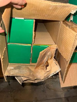 D114-plant watering bulbs