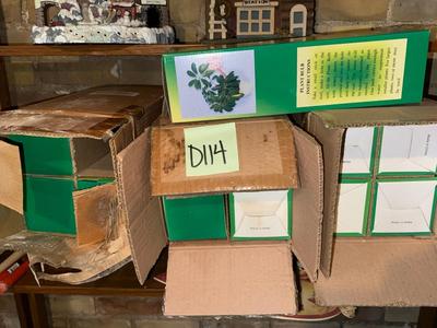 D114-plant watering bulbs