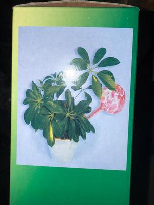 D114-plant watering bulbs