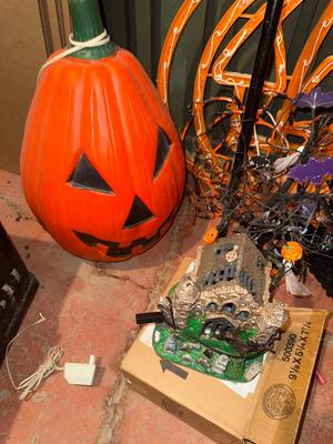 D110-Halloween lot