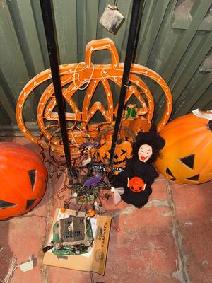 D110-Halloween lot
