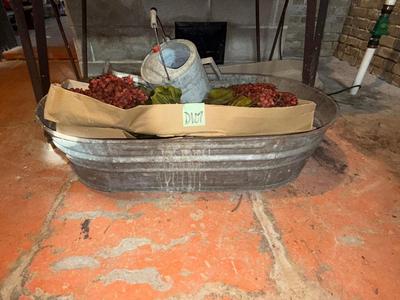 D107-large galvanized tub plus watering can and fake flowers