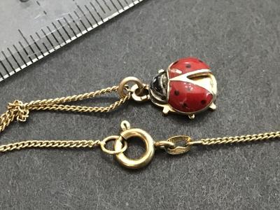 1/40 14 Kt -8 Kt Vintage Germany Lady Bug Pendant and Necklace