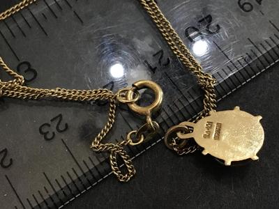 1/40 14 Kt -8 Kt Vintage Germany Lady Bug Pendant and Necklace
