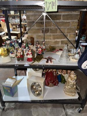 D74-large holiday lot