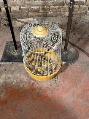 D37-birdcage plus holders