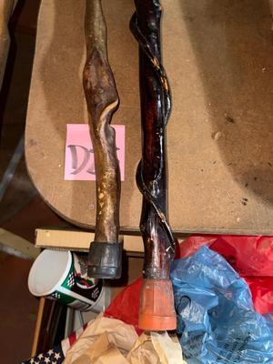D25-walking sticks/canes