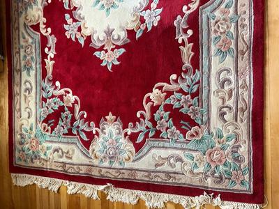 S45-Beautiful area rug