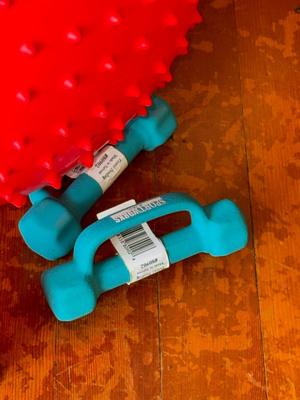 Sale Photo Thumbnail #34: T10-small exercise lot