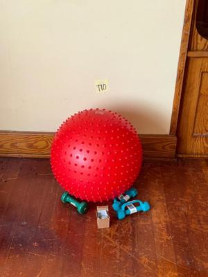 Sale Photo Thumbnail #33: T10-small exercise lot