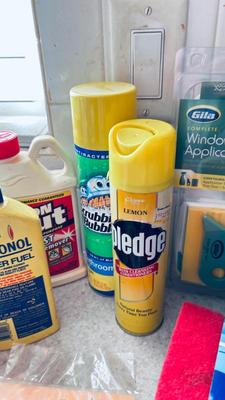 HOUSEHOLD CLEANERS