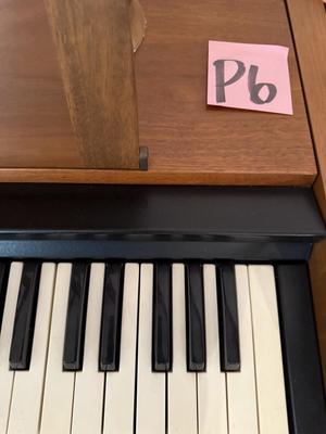 Sale Photo Thumbnail #560: P6-Organ and lamp