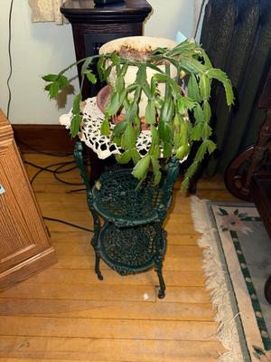 Sale Photo Thumbnail #896: M36-plant and plant stand