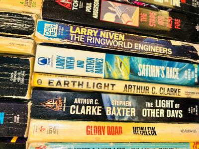 MANY HOURS OF READING IN THESE VARIOUS NOVELS