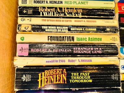 MANY HOURS OF READING IN THESE VARIOUS NOVELS