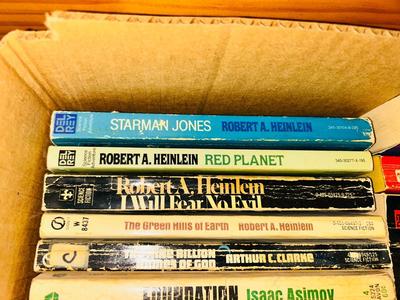 MANY HOURS OF READING IN THESE VARIOUS NOVELS