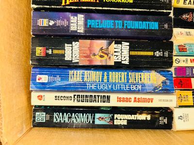 MANY HOURS OF READING IN THESE VARIOUS NOVELS