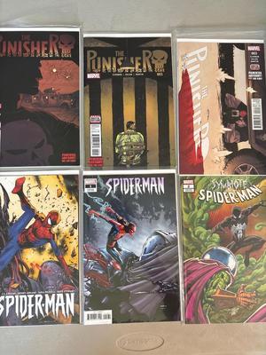 Punisher & Spider-man