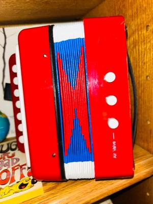 A FUN LOT FOR THE KID IN US! THERE'S EVEN HAS A TOY ACCORDION