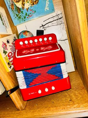 A FUN LOT FOR THE KID IN US! THERE'S EVEN HAS A TOY ACCORDION